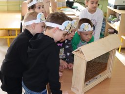 50263125111705890515357082772352867953706240n